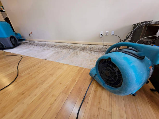 Professional Burst Pipe Water Damage technician working in Gilmore City, IA